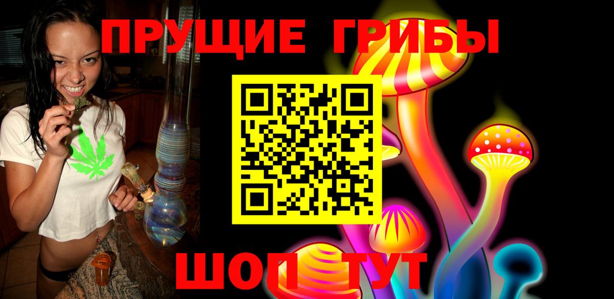 Галлюциногенные грибы Psilocybine cubensis Алексин