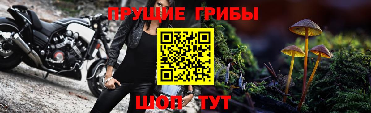 Галлюциногенные грибы Psilocybe  Вход с VPN  Алексин  Псилоцибиновые грибы Magic Shrooms 